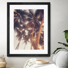 Vintage Palms by Acosta on GIANT ART - photography coastal