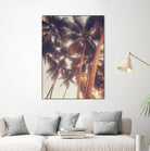 Vintage Palms by Acosta on GIANT ART - photography coastal