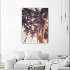Vintage Palms by Acosta on GIANT ART - photography coastal