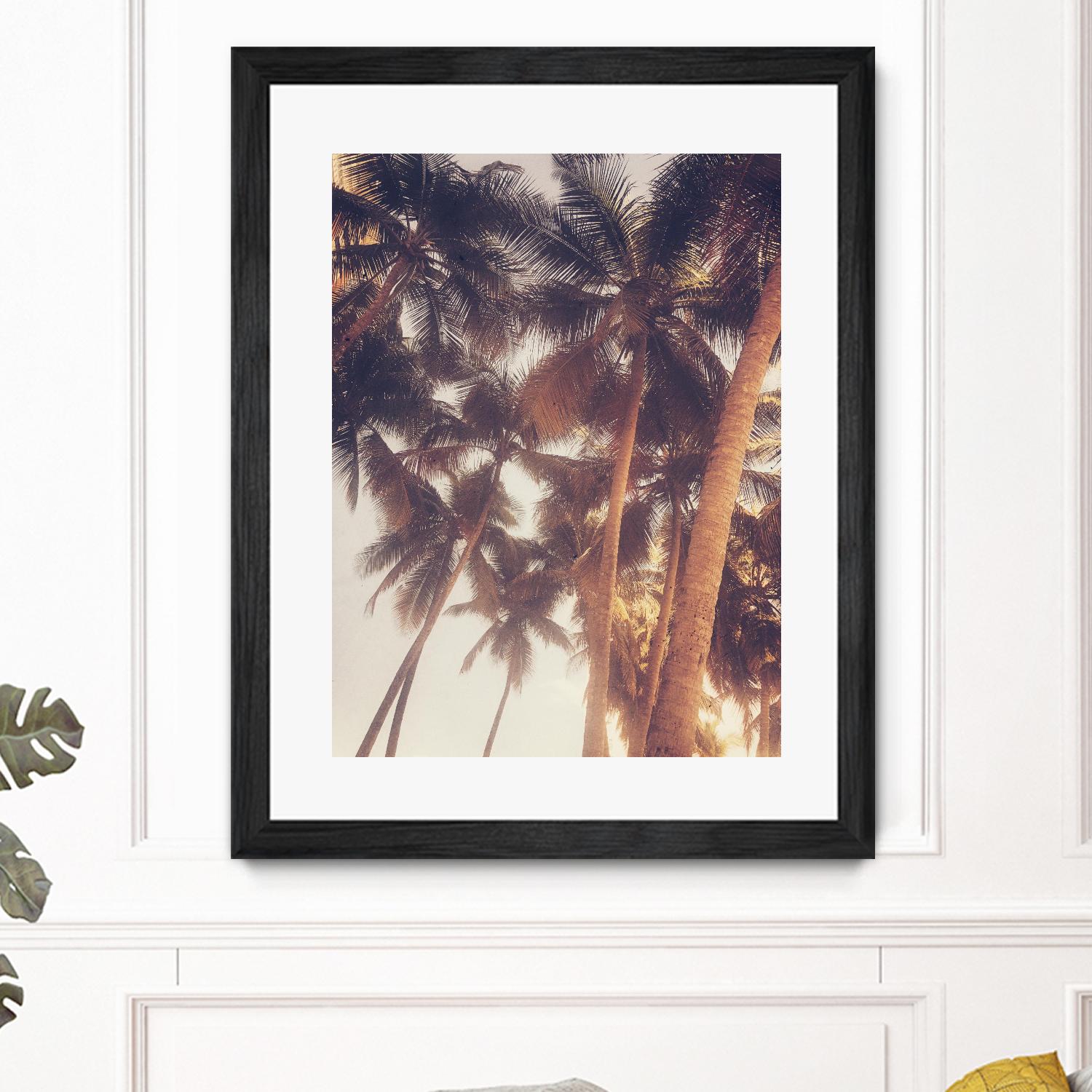 Vintage Palms by Acosta on GIANT ART - photography coastal