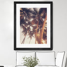 Vintage Palms by Acosta on GIANT ART - photography coastal