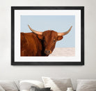 Steer by Carol Walker on GIANT ART - photography farm