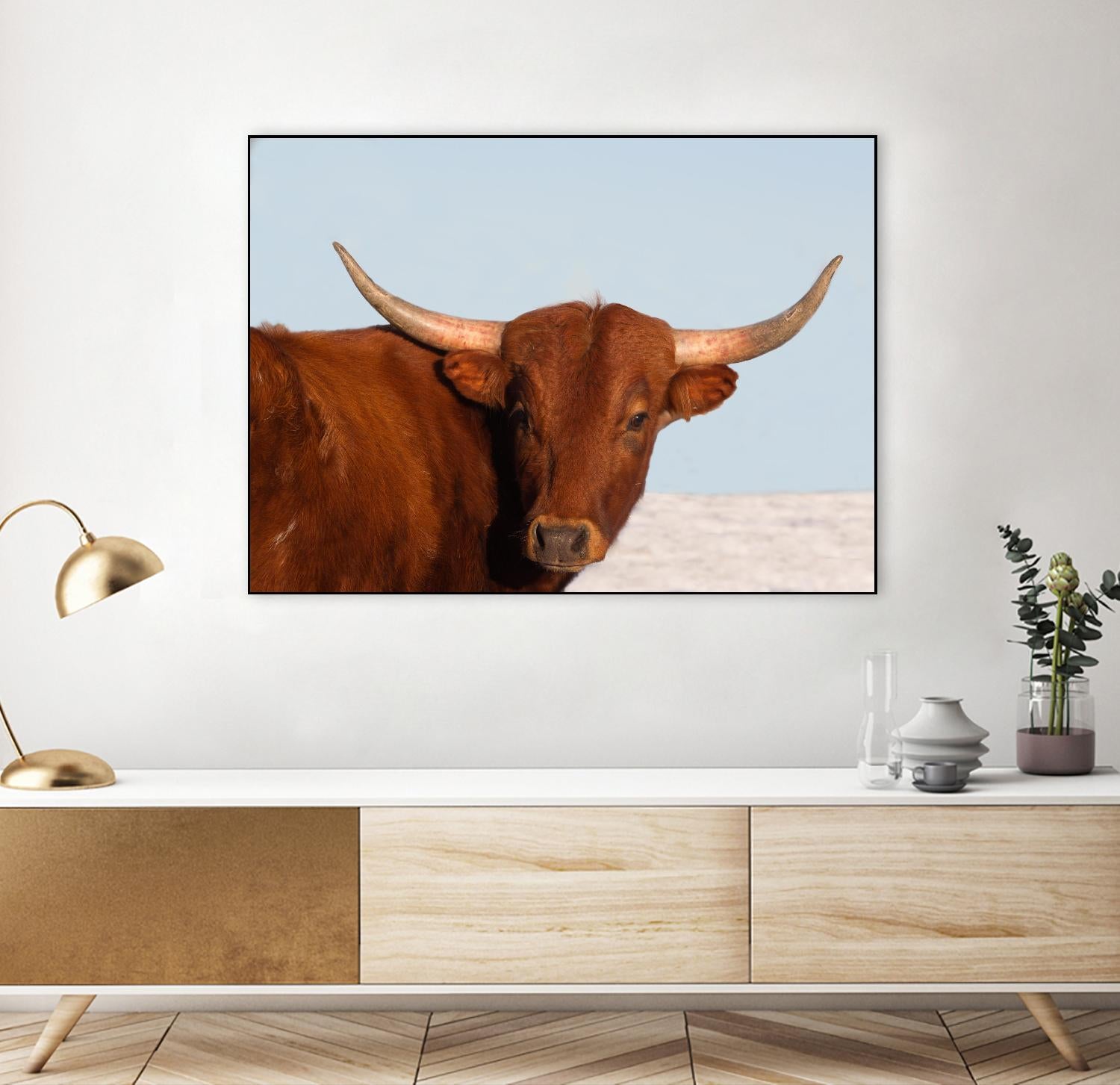 Steer by Carol Walker on GIANT ART - photography farm
