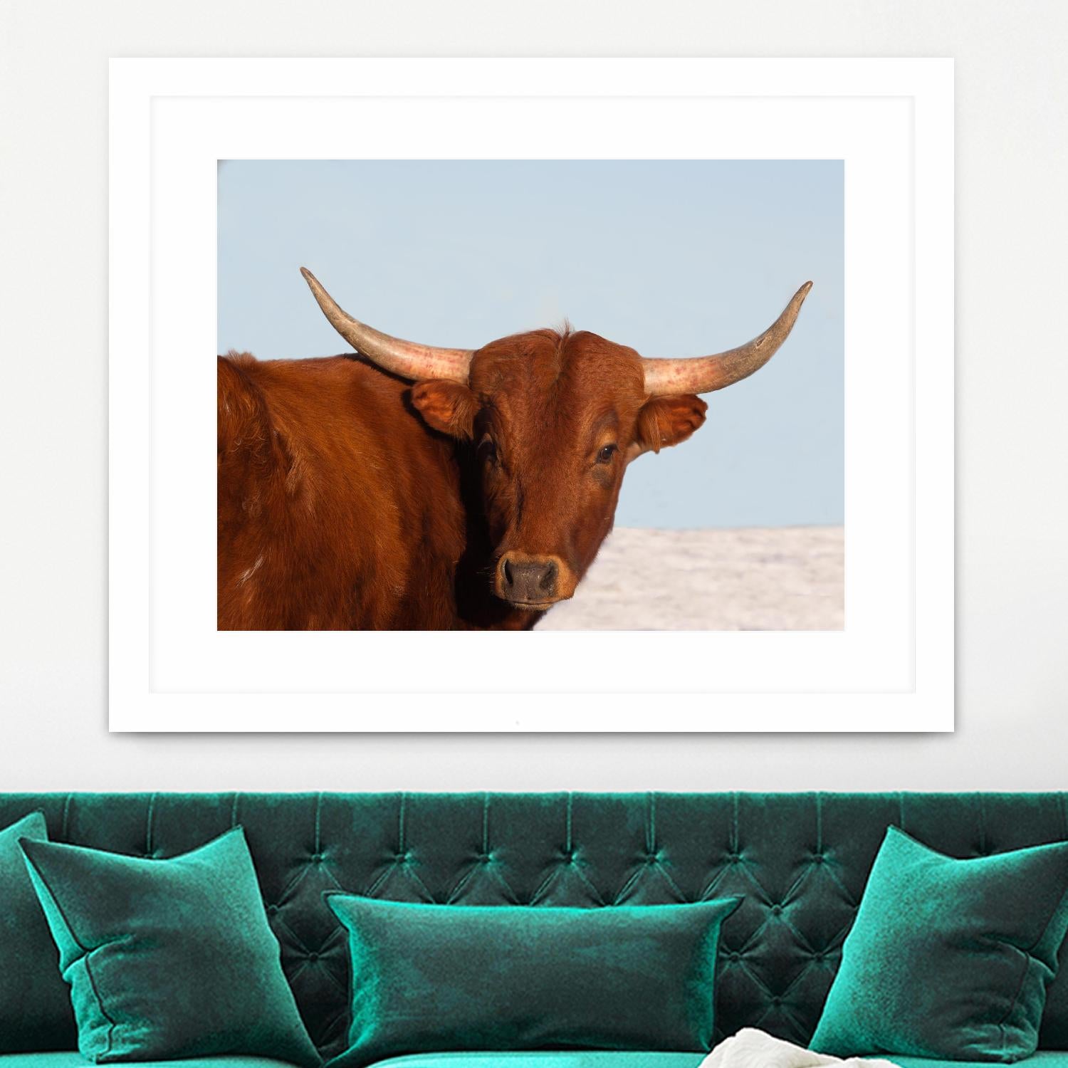 Steer by Carol Walker on GIANT ART - photography farm
