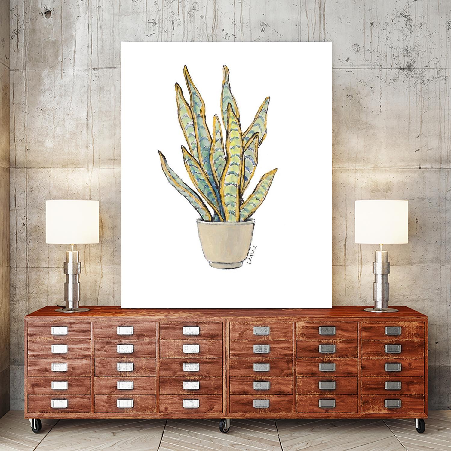 Mother In Law Plant in Pot by Lanie Loreth on GIANT ART - floral southwestern and western