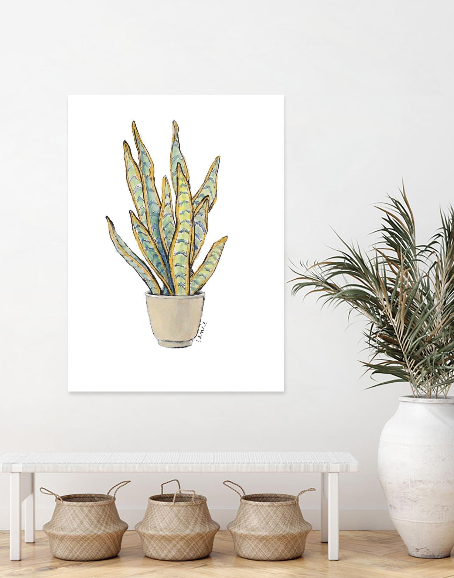 Mother In Law Plant in Pot by Lanie Loreth on GIANT ART - floral southwestern and western