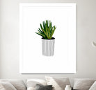 Modern Cactus Stripe Pot by Jen Bucheli on GIANT ART - floral