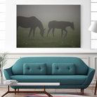 Photograph 3 by Nancy Crowell on GIANT ART - grey animals