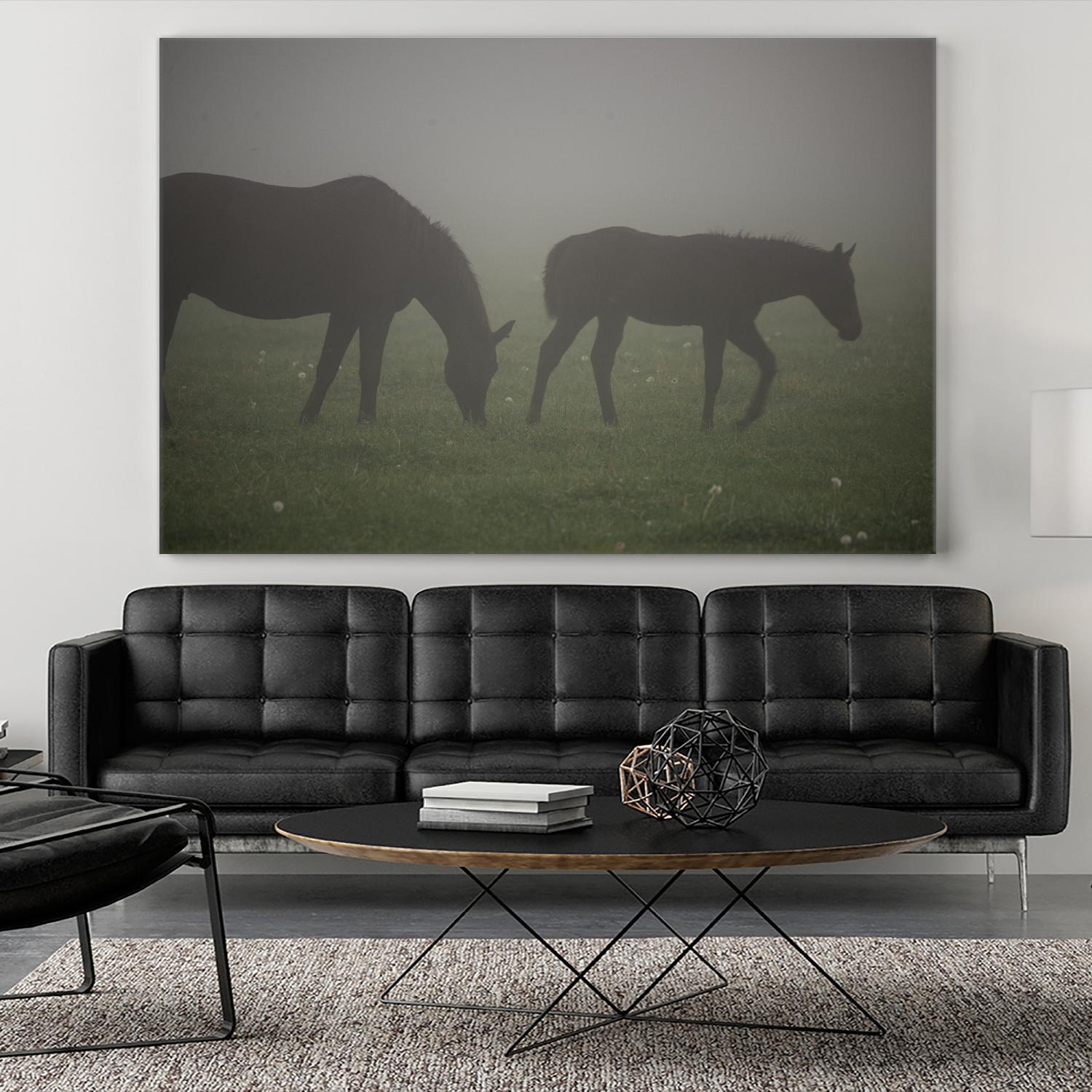 Photograph 3 by Nancy Crowell on GIANT ART - grey animals