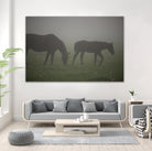 Photograph 3 by Nancy Crowell on GIANT ART - grey animals