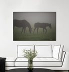 Photograph 3 by Nancy Crowell on GIANT ART - grey animals