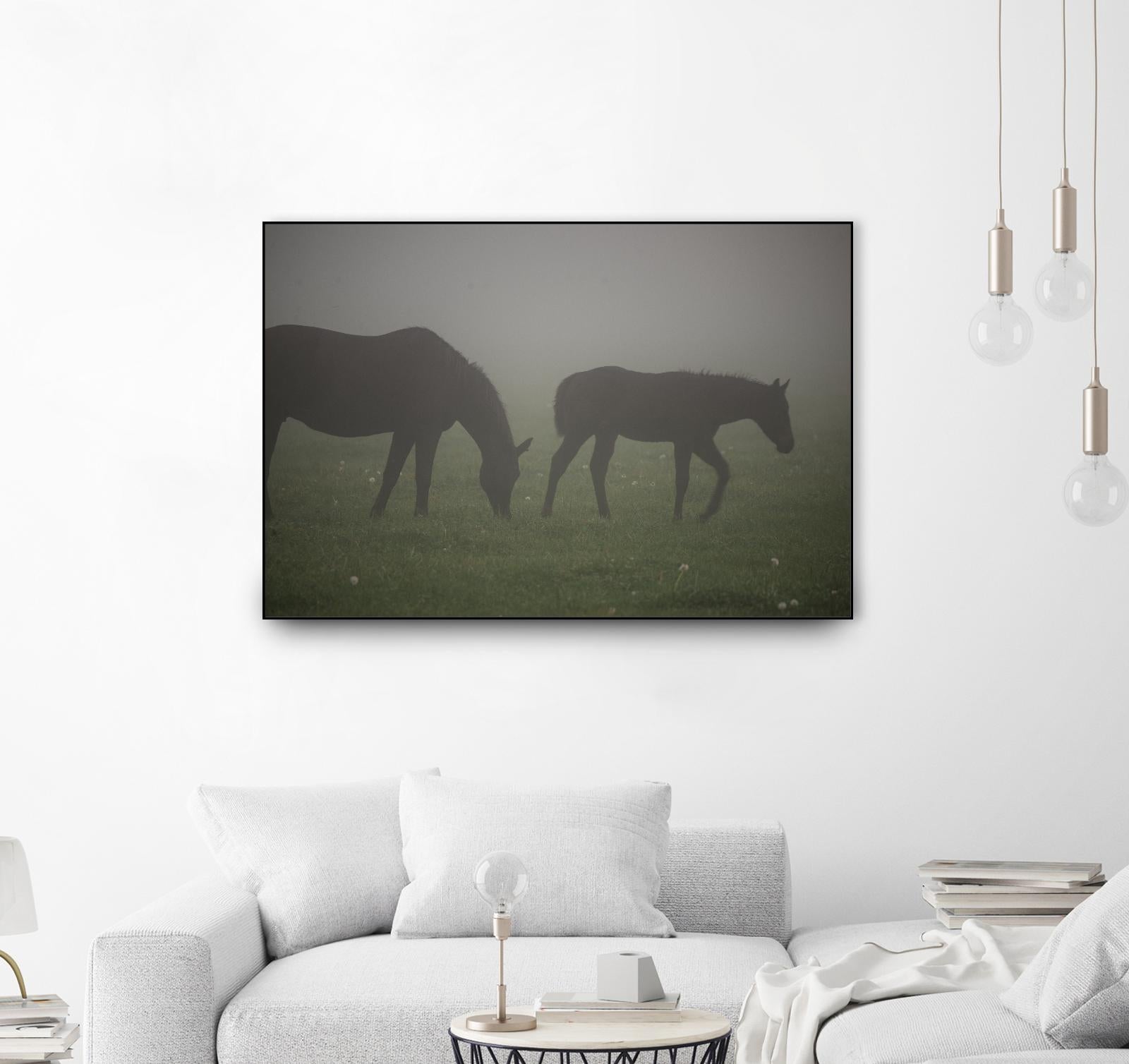 Photograph 3 by Nancy Crowell on GIANT ART - grey animals