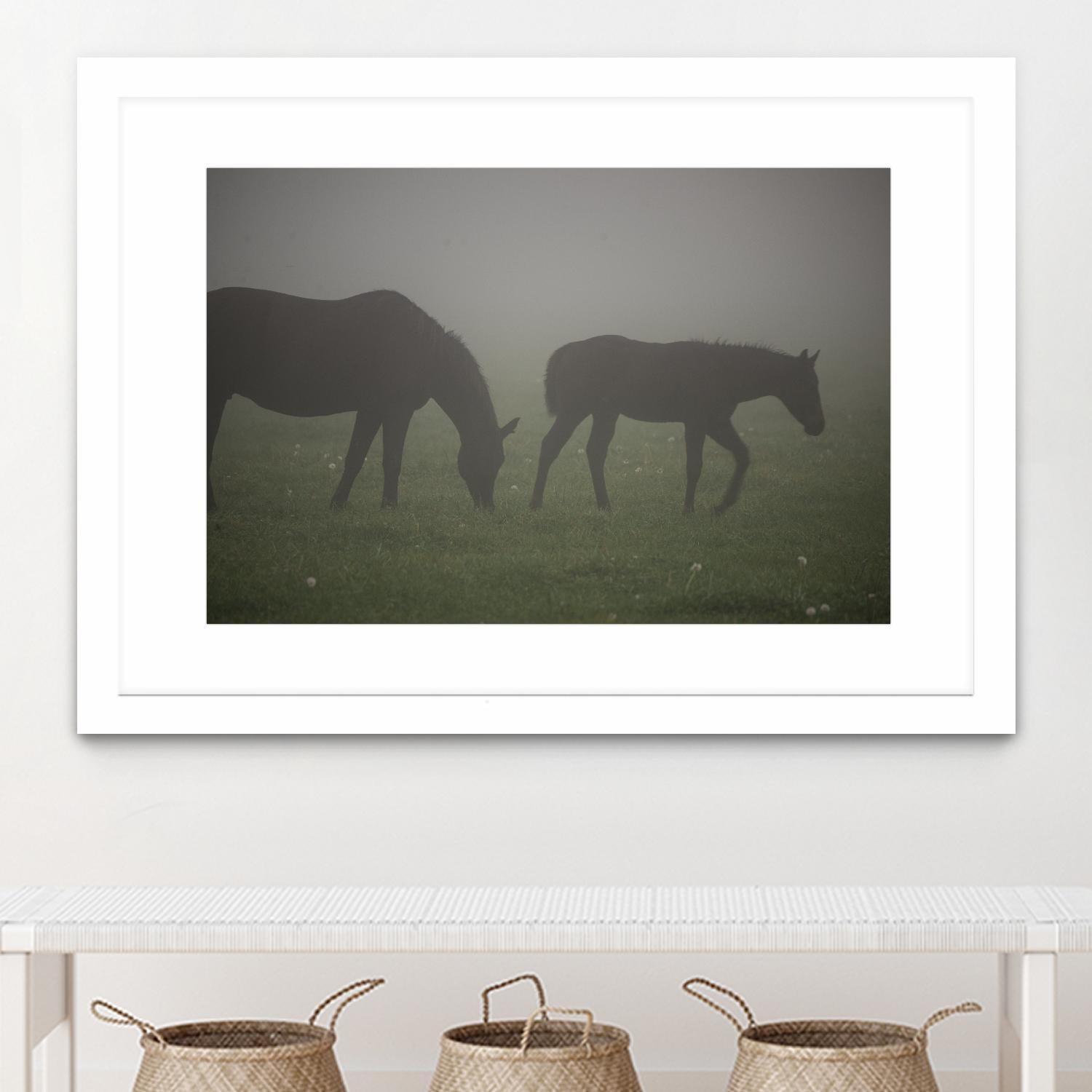 Photograph 3 by Nancy Crowell on GIANT ART - grey animals