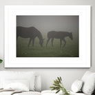 Photograph 3 by Nancy Crowell on GIANT ART - grey animals