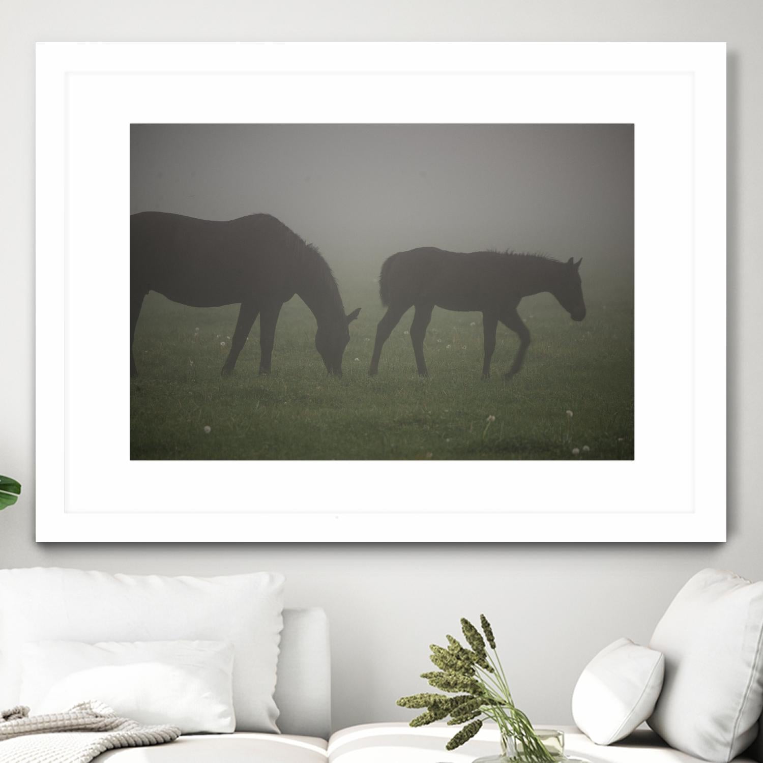 Photograph 3 by Nancy Crowell on GIANT ART - grey animals