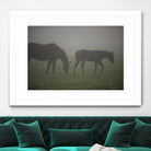 Photograph 3 by Nancy Crowell on GIANT ART - grey animals