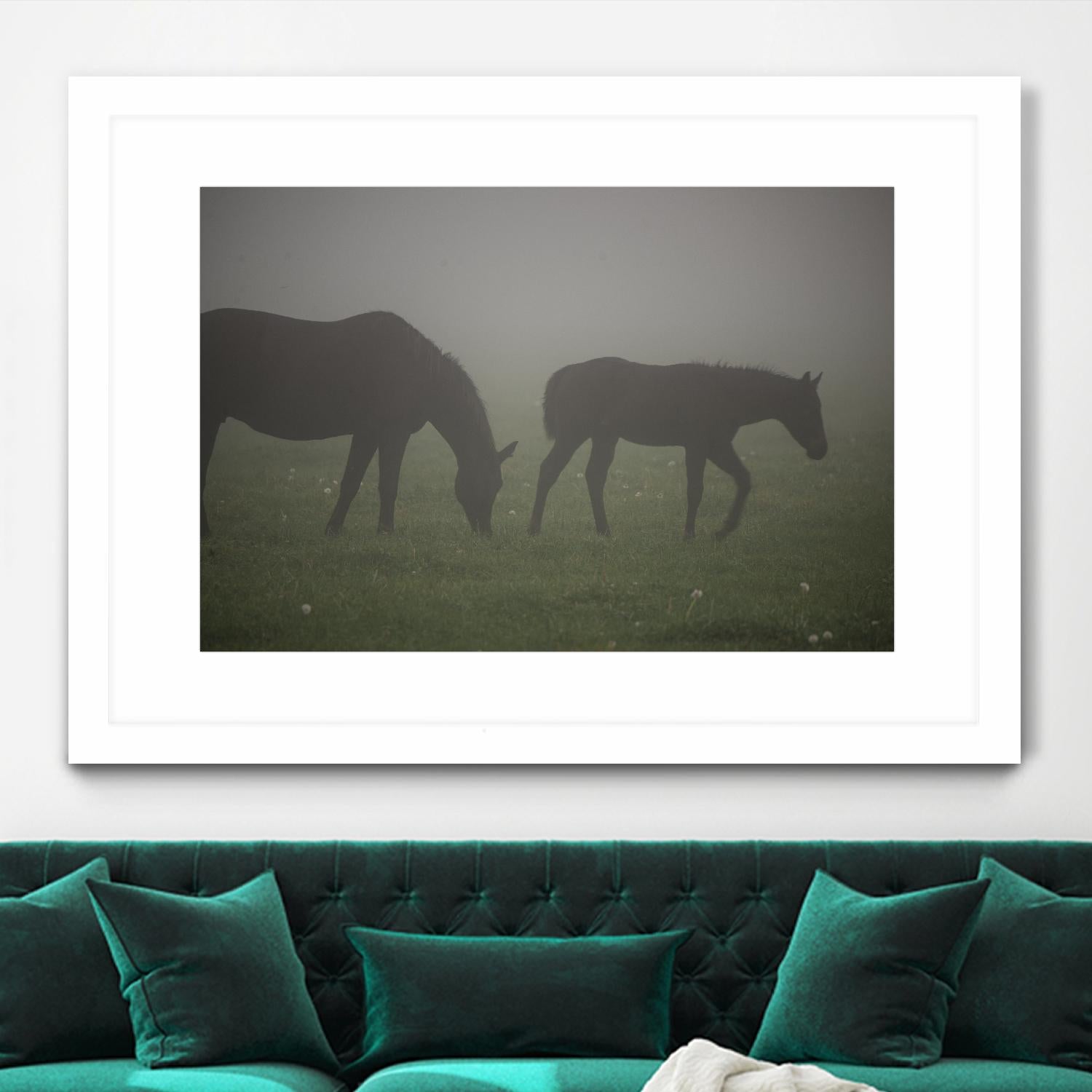 Photograph 3 by Nancy Crowell on GIANT ART - grey animals