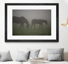 Photograph 3 by Nancy Crowell on GIANT ART - grey animals