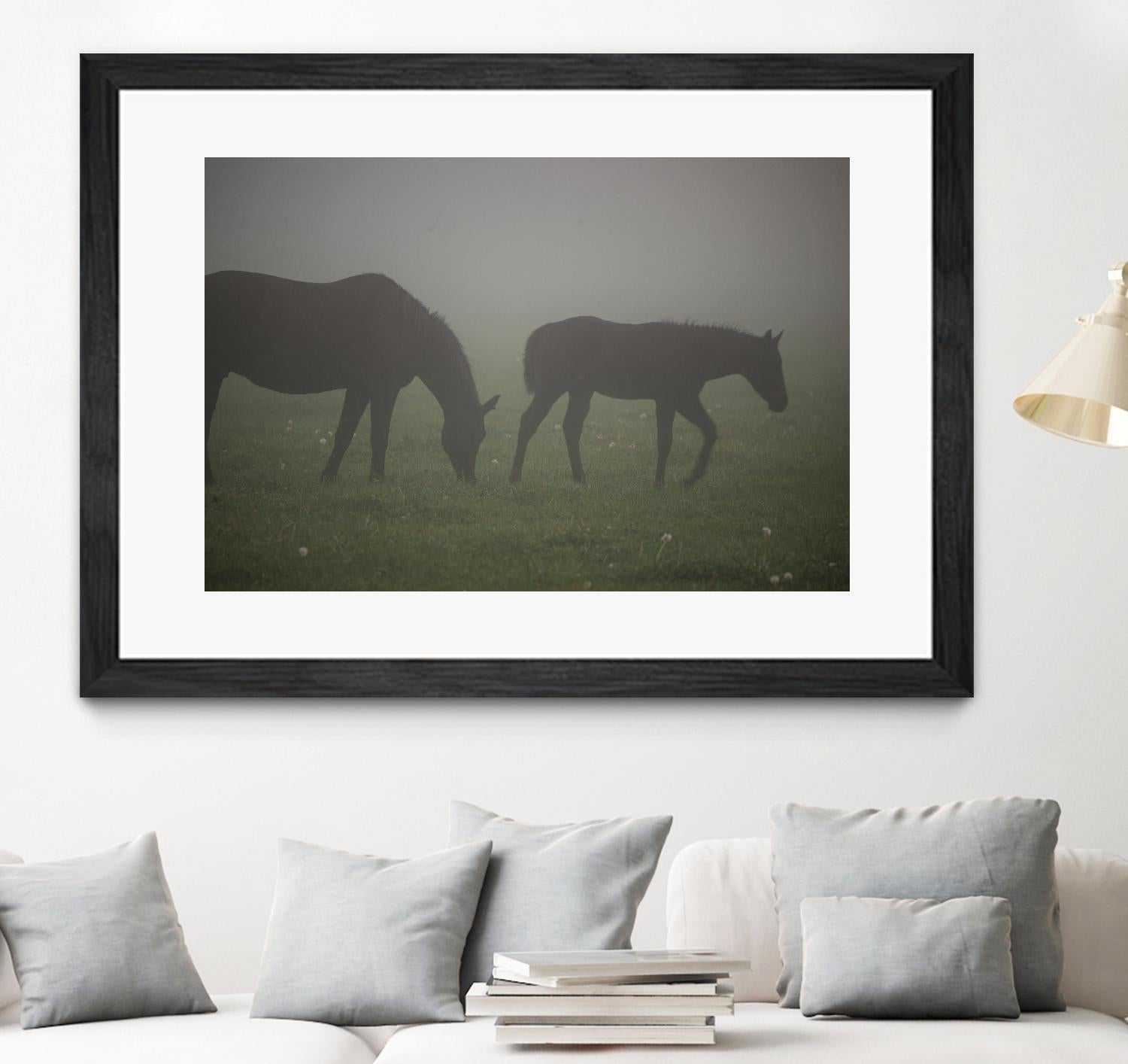 Photograph 3 by Nancy Crowell on GIANT ART - grey animals