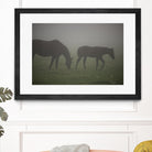 Photograph 3 by Nancy Crowell on GIANT ART - grey animals