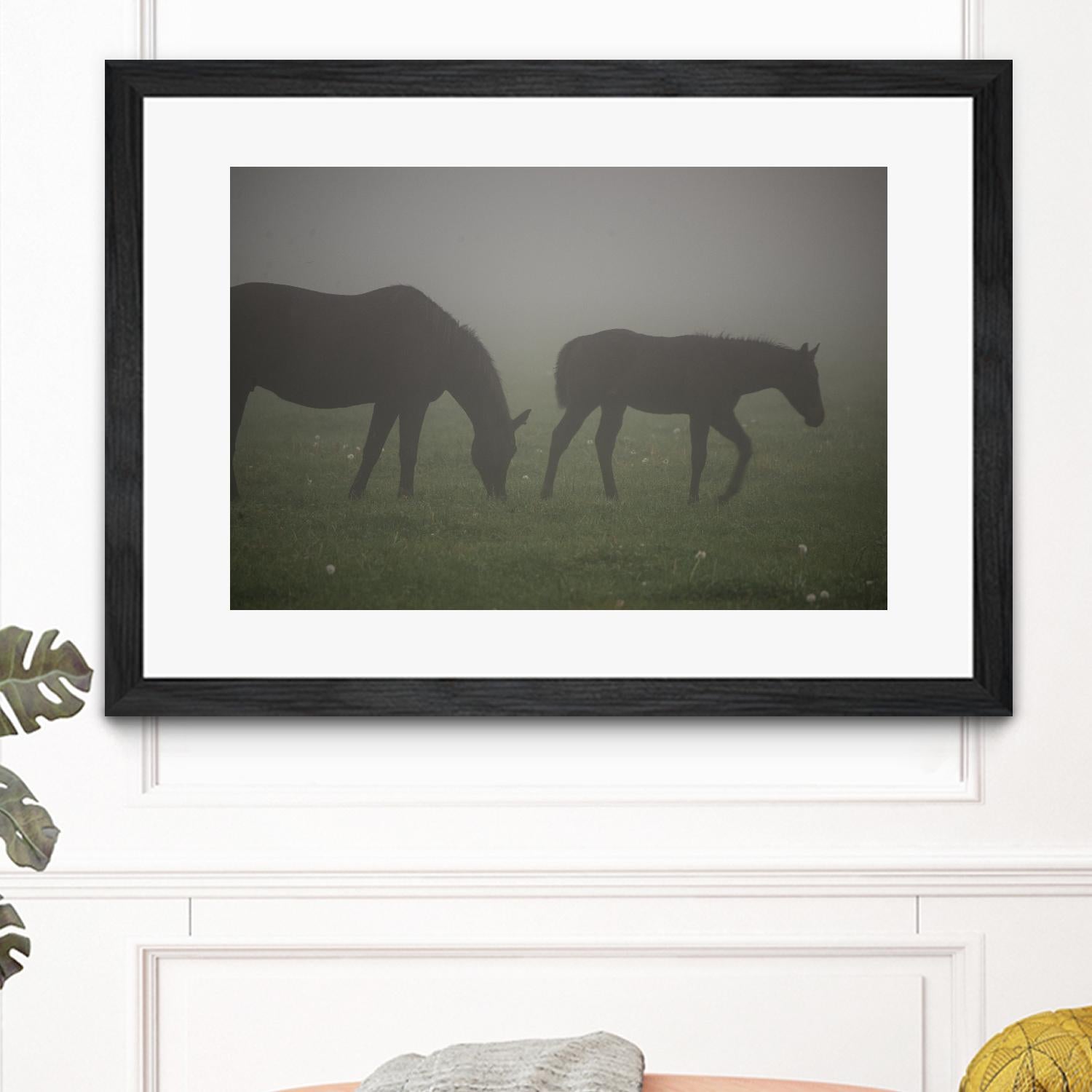 Photograph 3 by Nancy Crowell on GIANT ART - grey animals