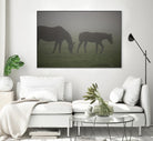 Photograph 3 by Nancy Crowell on GIANT ART - grey animals