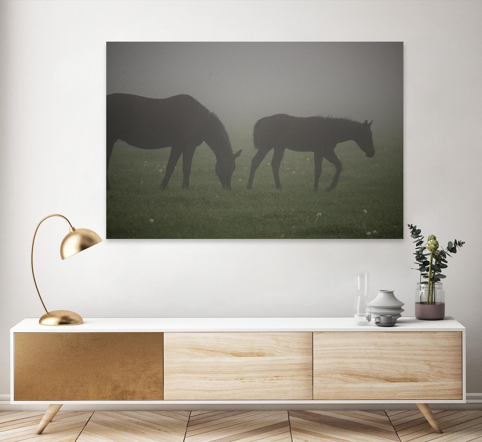 Photograph 3 by Nancy Crowell on GIANT ART - grey animals