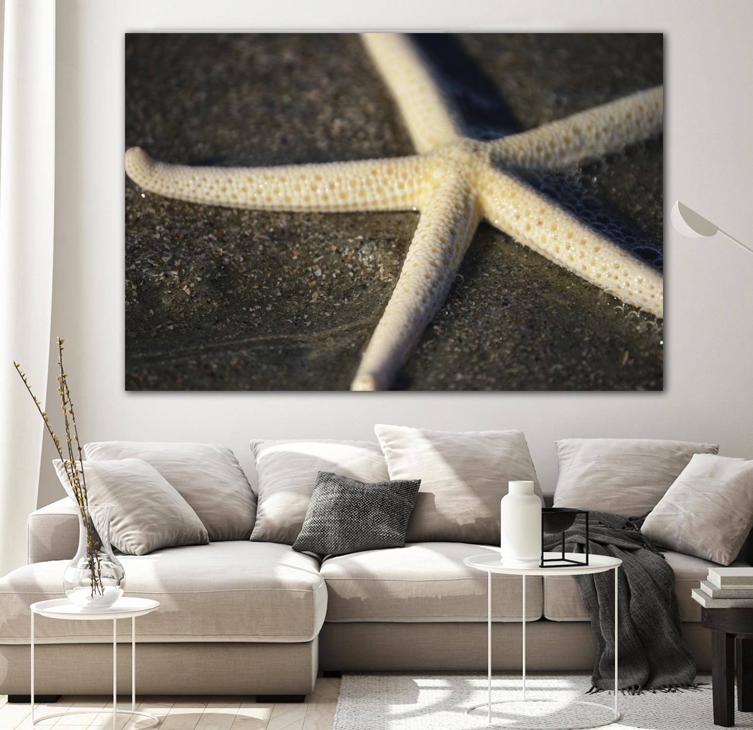 Starfish by Lori Prenner on GIANT ART - brown nautical