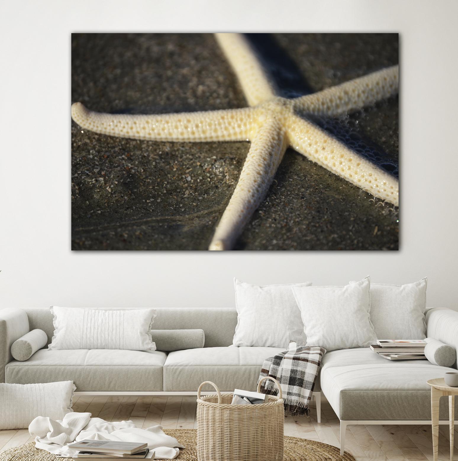Starfish by Lori Prenner on GIANT ART - brown nautical
