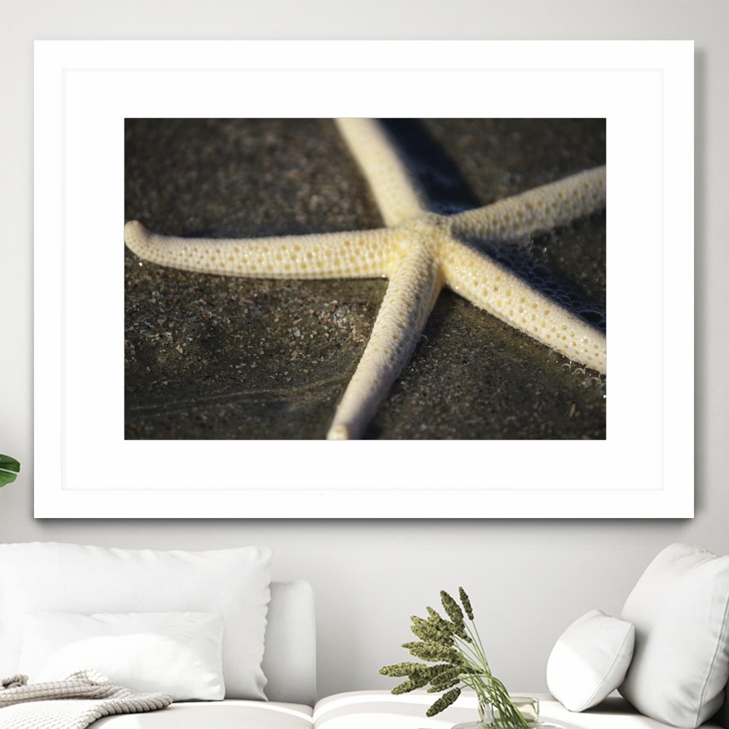 Starfish by Lori Prenner on GIANT ART - beige costal étoile de mer
