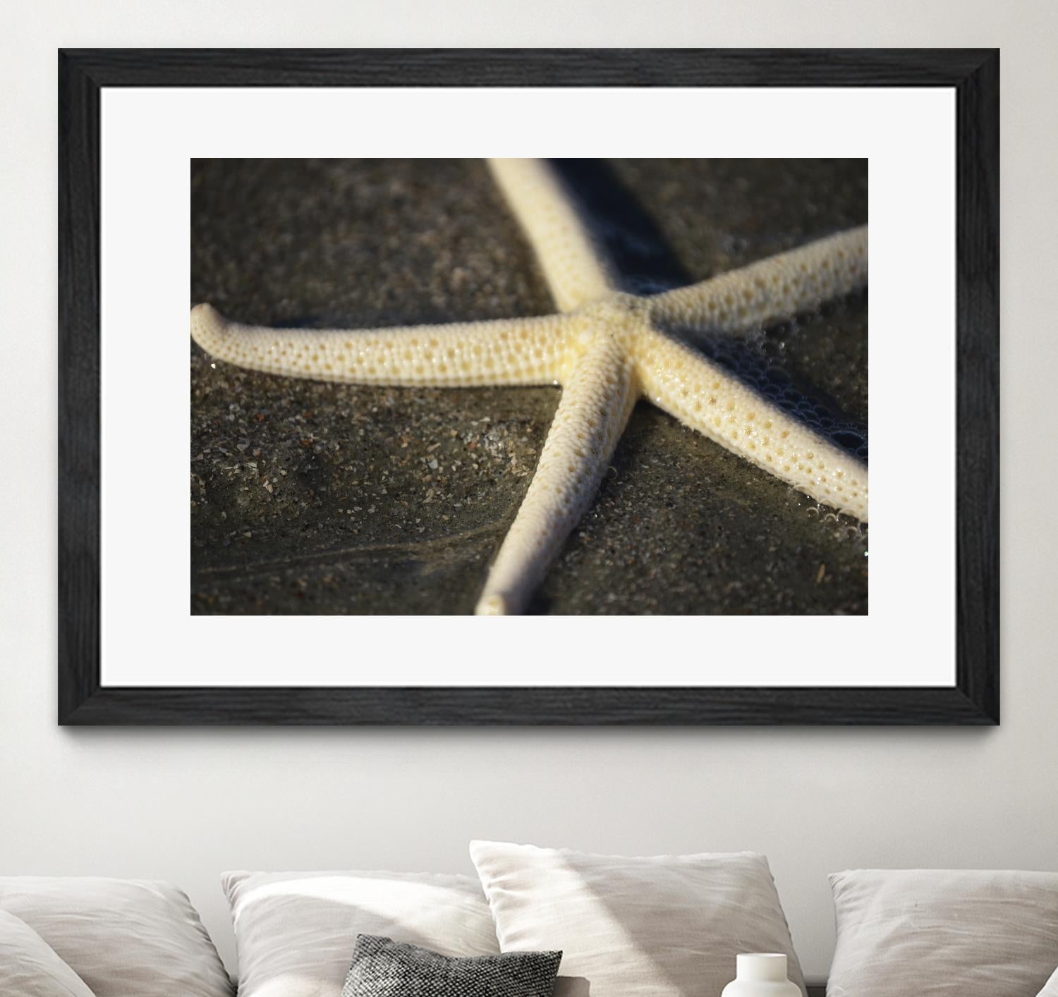 Starfish by Lori Prenner on GIANT ART - beige costal étoile de mer