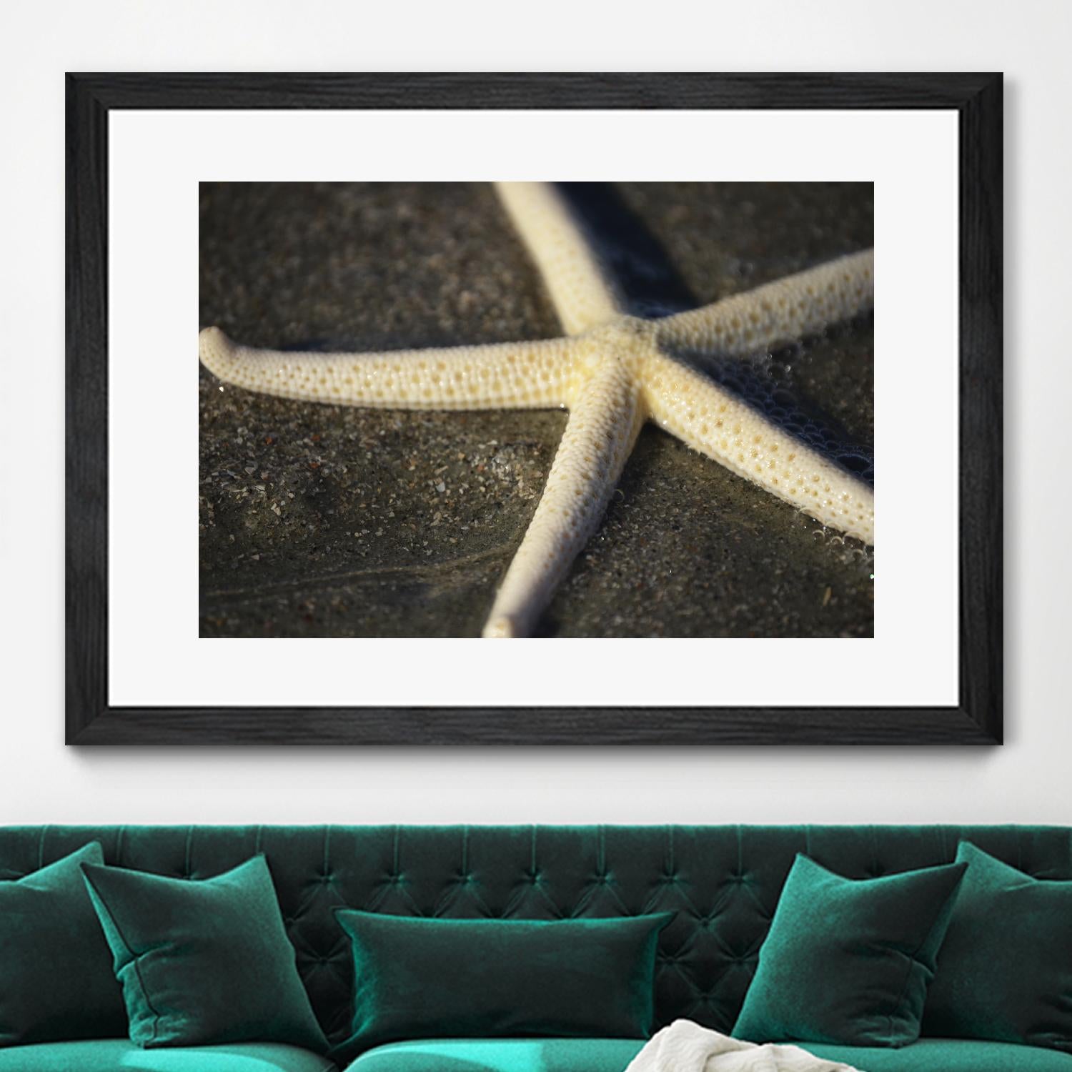 Starfish by Lori Prenner on GIANT ART - beige costal étoile de mer