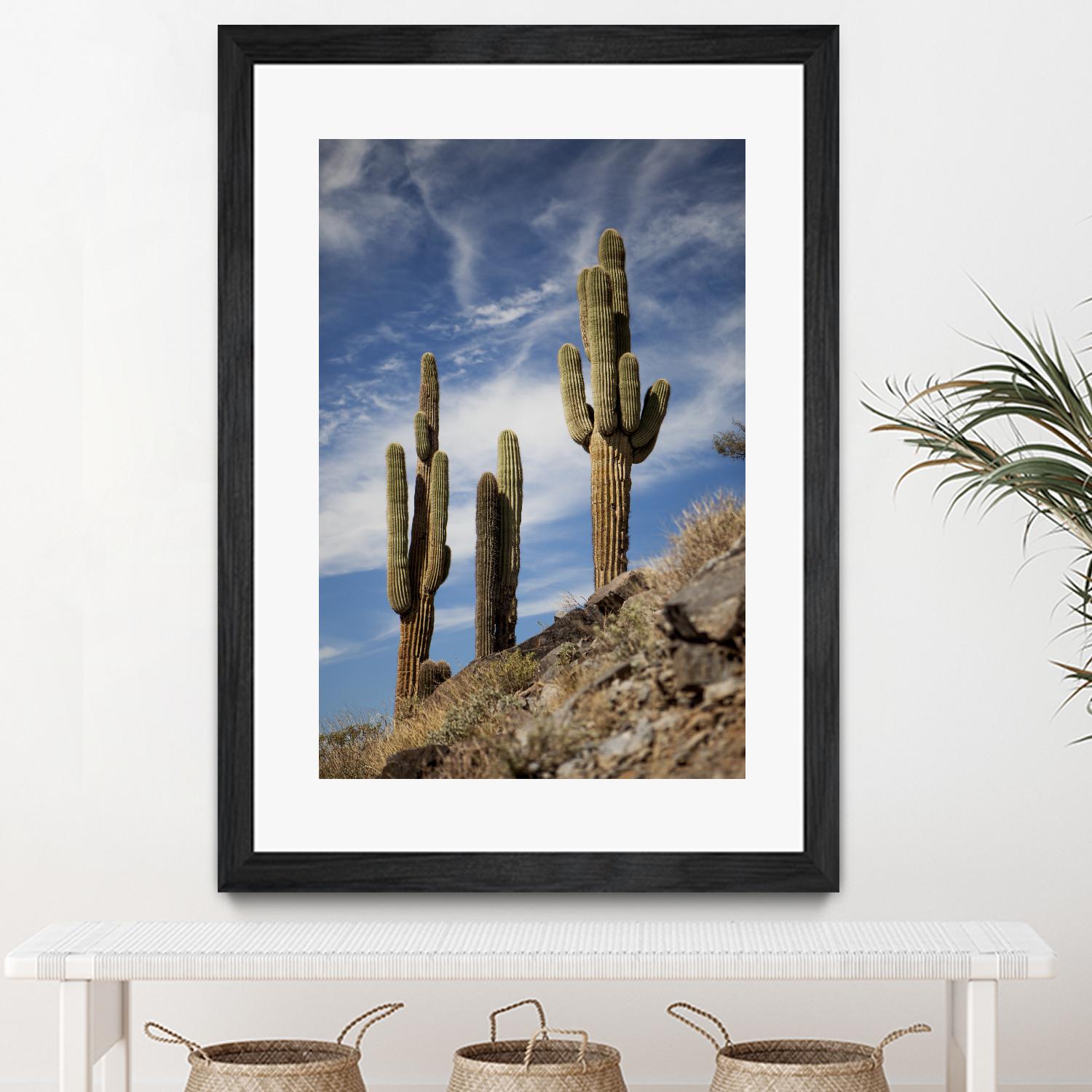 Photograph 9 by Aaron Matheson on GIANT ART - green landscape