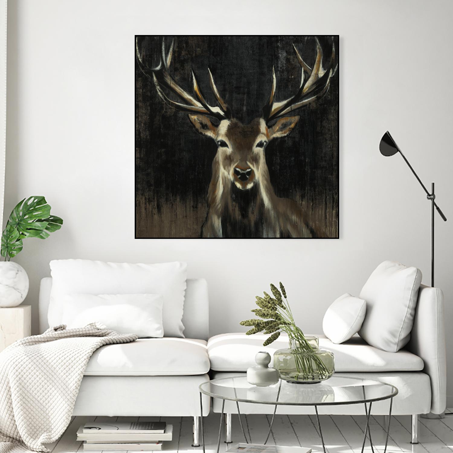 Young Buck by Liz Jardine on GIANT ART - black animals