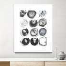 B&W Imprint II by Jodi Fuchs on GIANT ART - neutral abstract