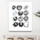 B&W Imprint II by Jodi Fuchs on GIANT ART - neutral abstract