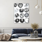 B&W Imprint II by Jodi Fuchs on GIANT ART - neutral abstract