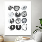 B&W Imprint II by Jodi Fuchs on GIANT ART - neutral abstract