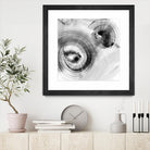 Reverse Ripple Effect I by Ethan Harper on GIANT ART - neutral abstract