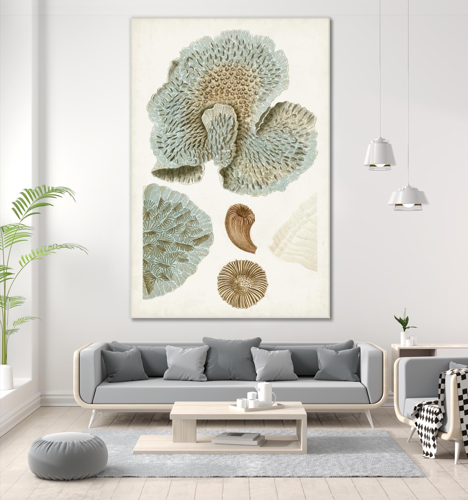 Coastal Curiosity V by Unknown on GIANT ART - green coastal & tropical abstract