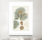 Coastal Curiosity V by Unknown on GIANT ART - green coastal & tropical abstract