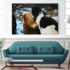 Poneys by Pexels on GIANT ART - black animals