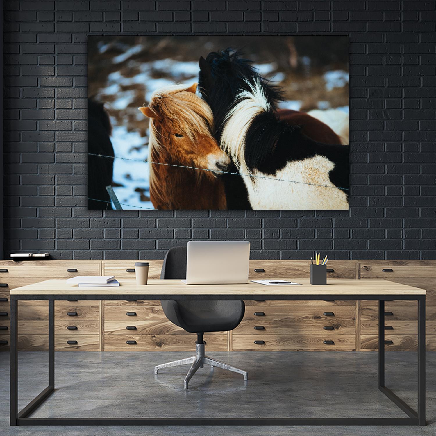 Poneys by Pexels on GIANT ART - black animals