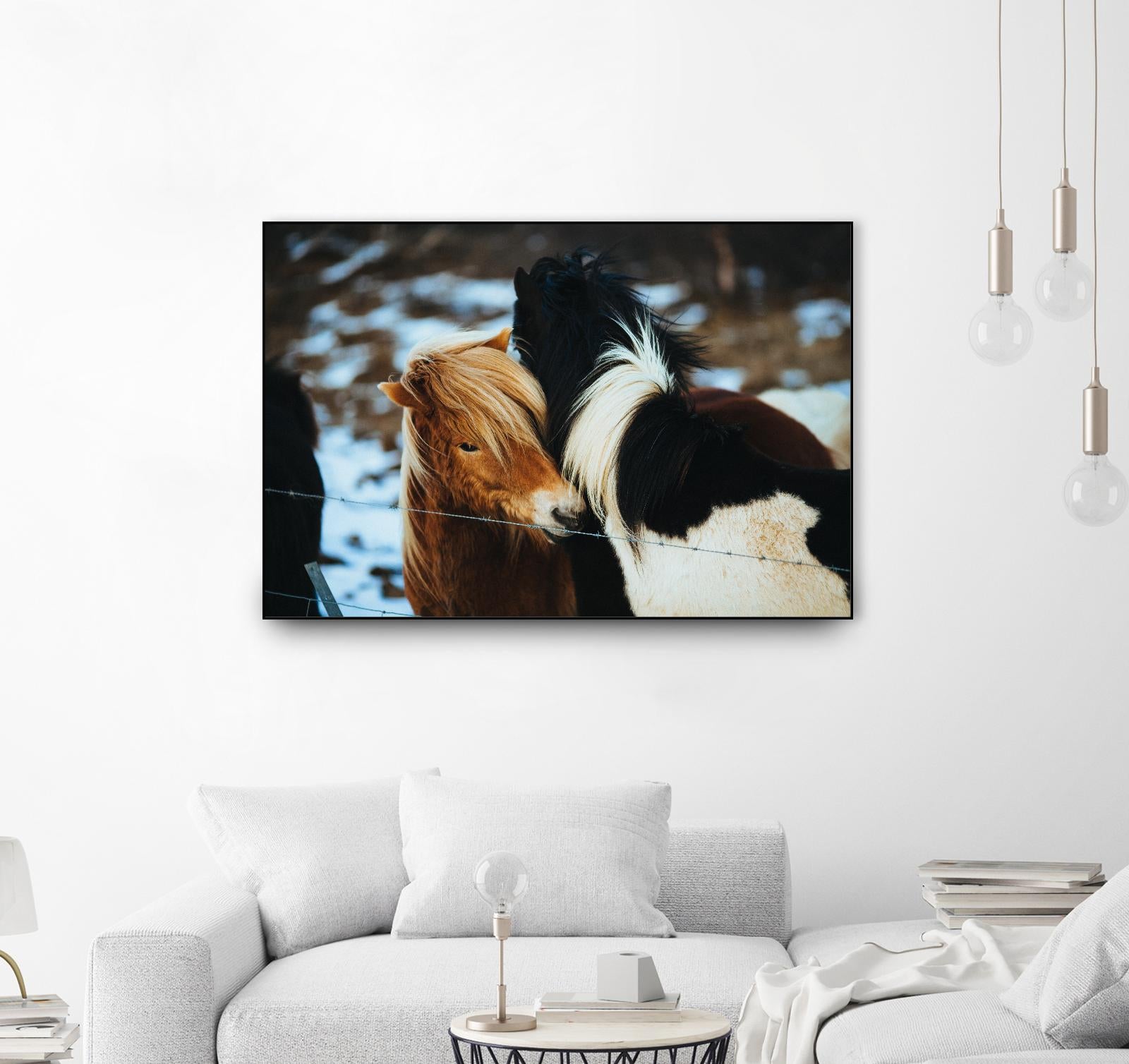 Poneys by Pexels on GIANT ART - black animals