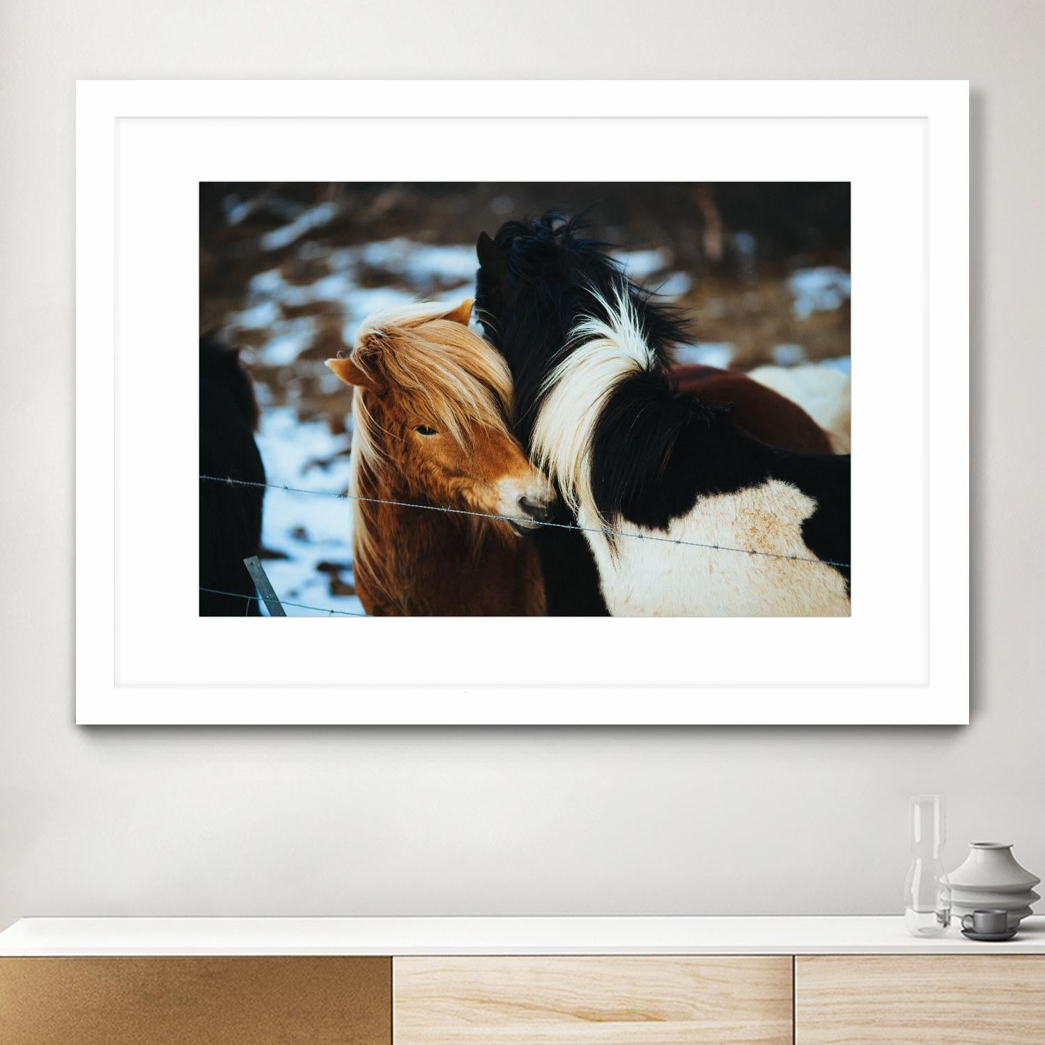 Poneys by Pexels on GIANT ART - black animals