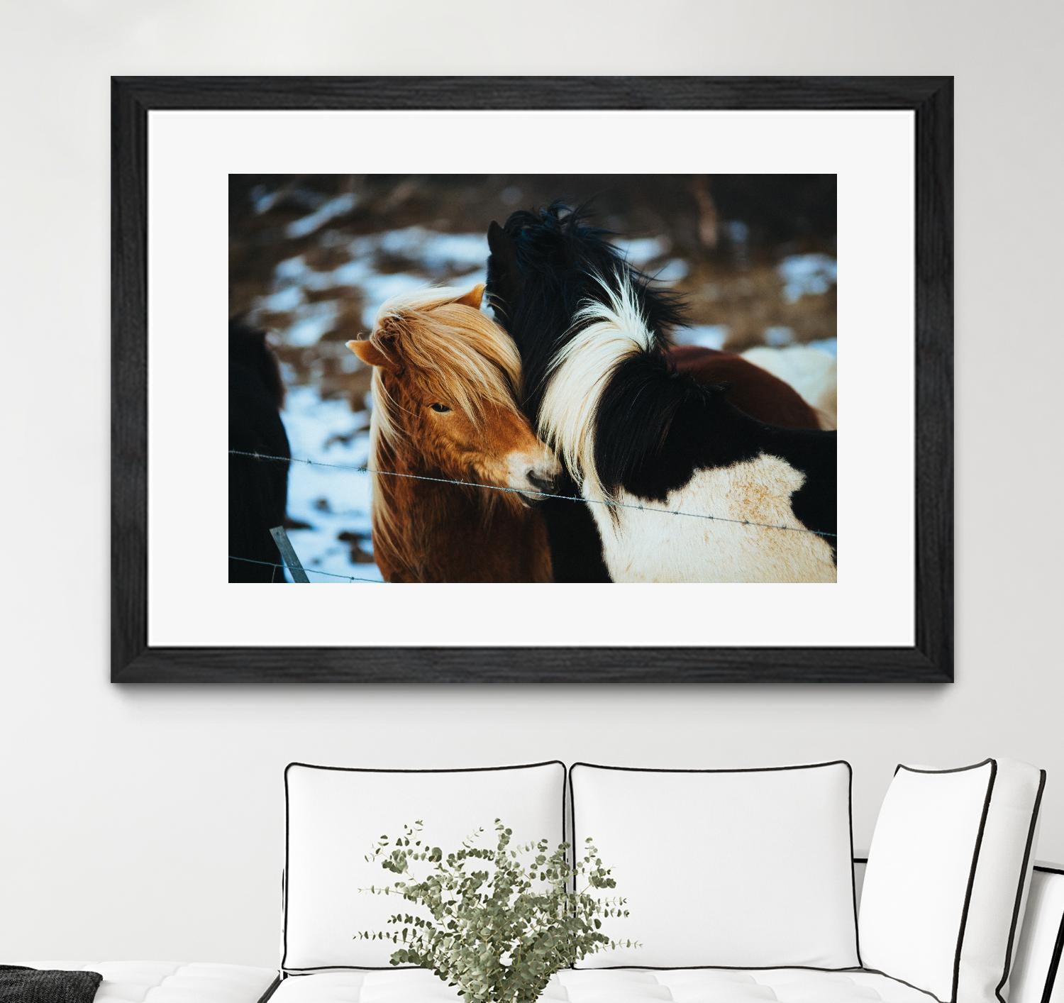 Poneys by Pexels on GIANT ART - black animals