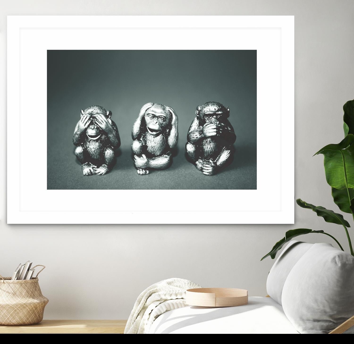 Wise monkeys by Pexels on GIANT ART - white animals
