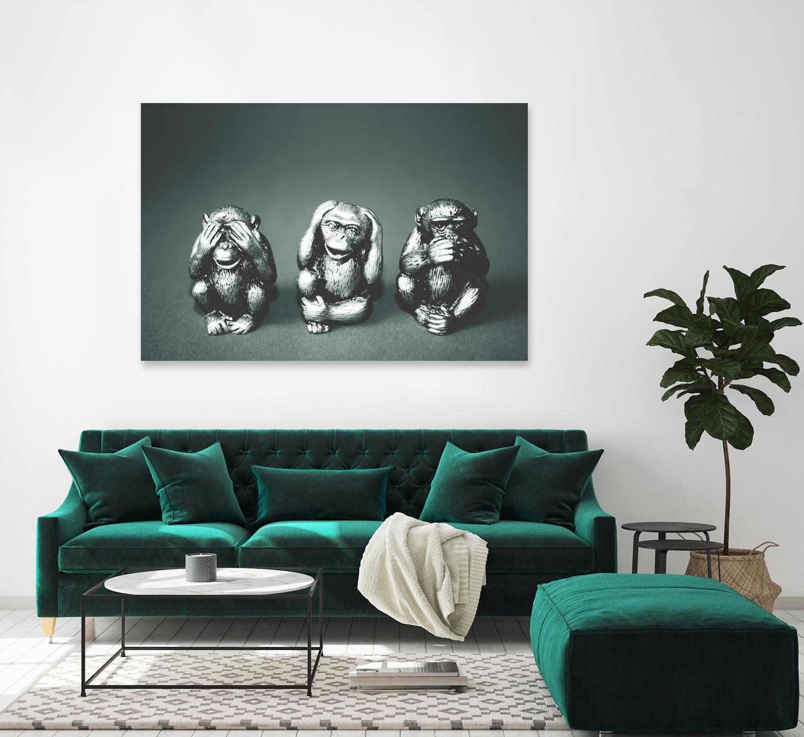 Wise monkeys by Pexels on GIANT ART - white animals