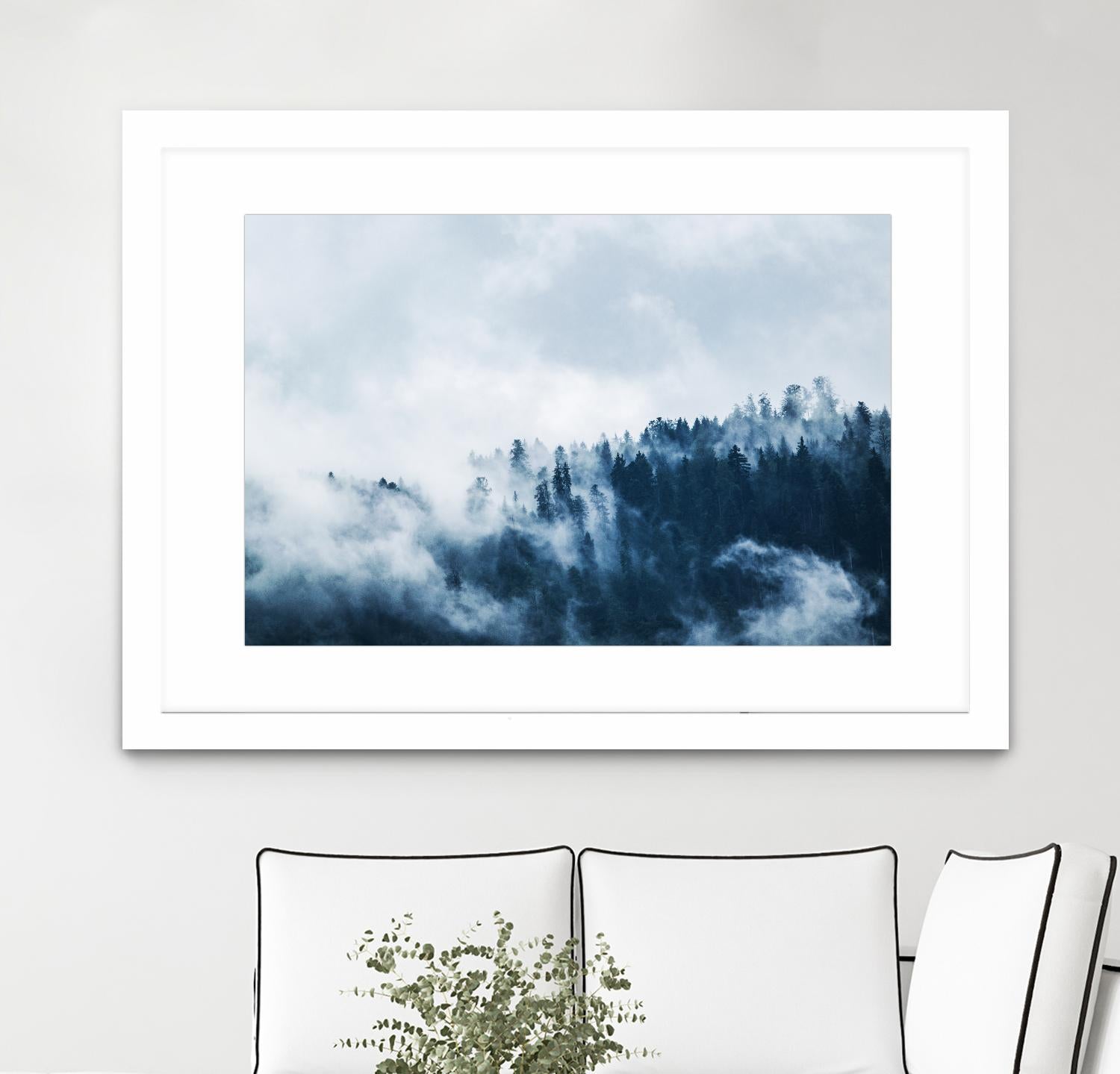 Foggy forest by Pexels on GIANT ART - white landscape