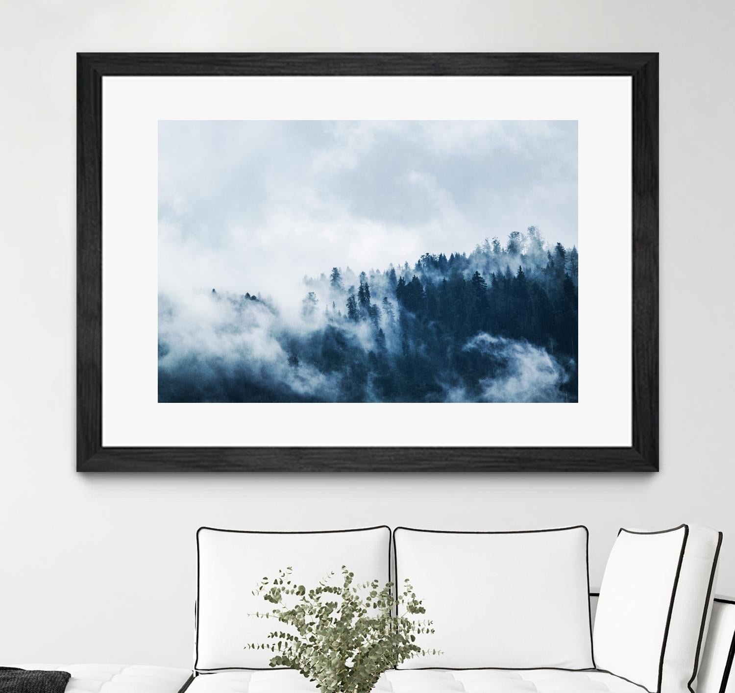 Foggy forest by Pexels on GIANT ART - white landscape